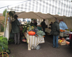 Marché Cucurbitacées Marché Cucurbitacées